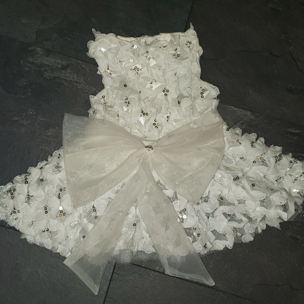 Cute small/med dog White dress fancy wedding